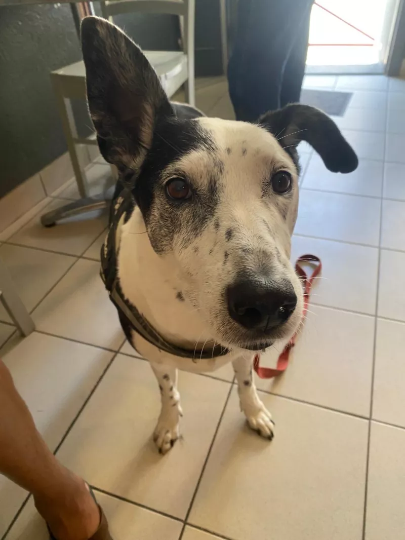 259c6b86-5b67-4589-be5f-06578a10621c