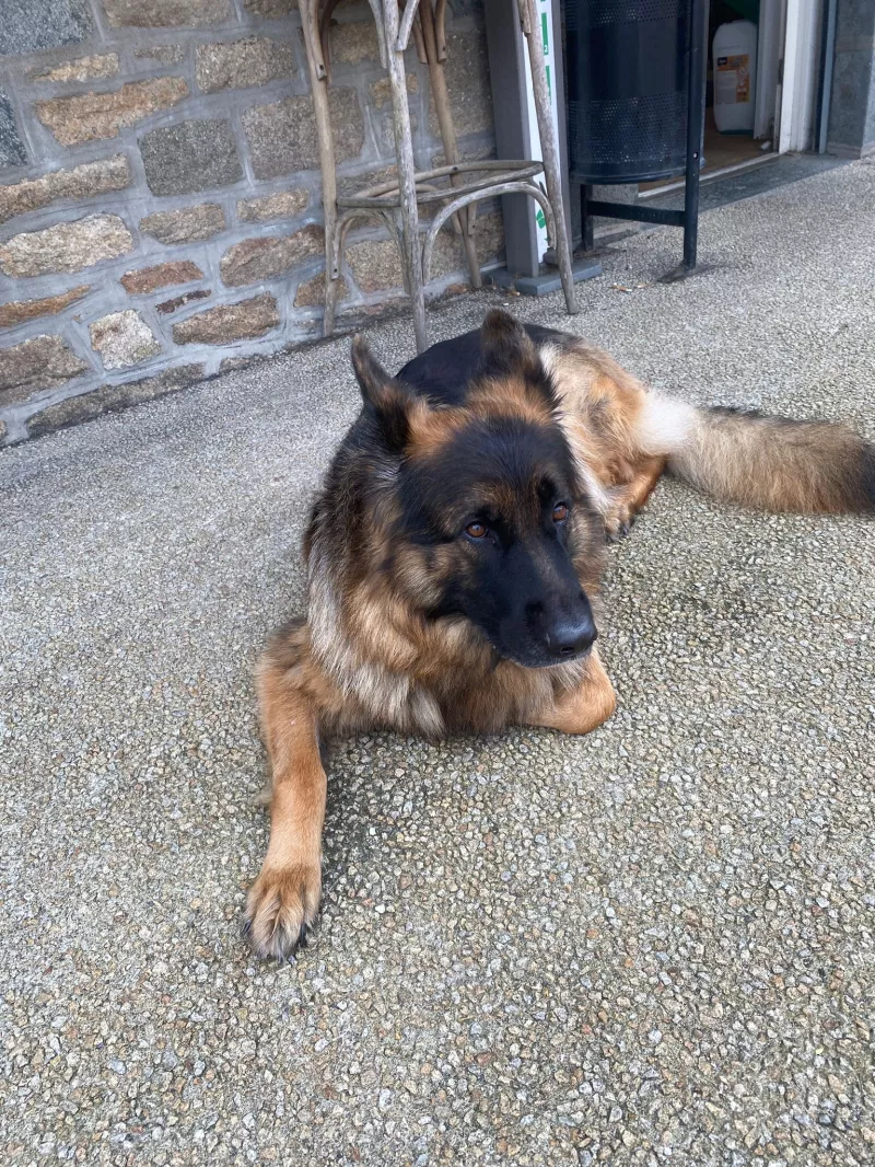 936d3e66-a877-4d40-9410-c93a63362a10