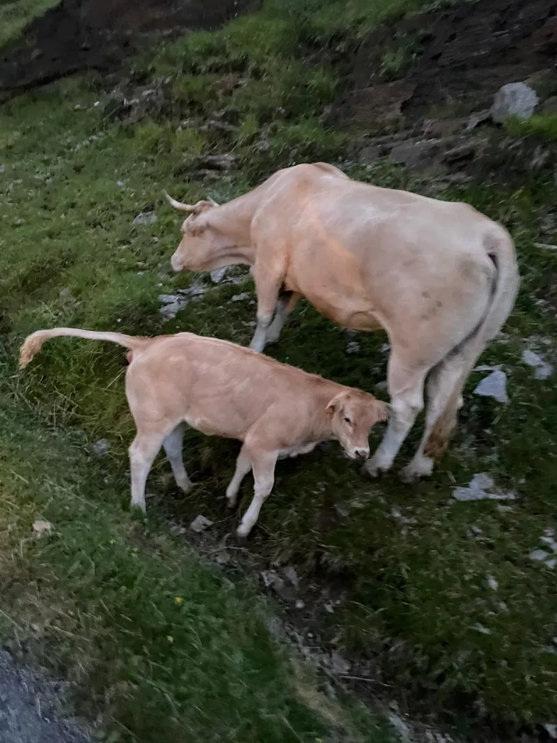 f3912fa4-4954-4109-89cd-dd22424047ba